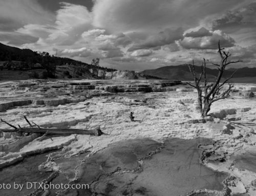 Black and Whites vs Infrared