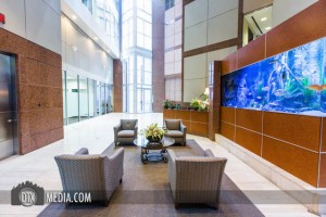 meadow interior_001