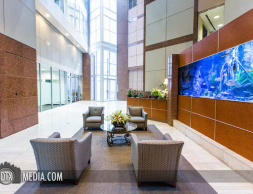 Dallas Interior Real Estate Photographer: Meadow Park